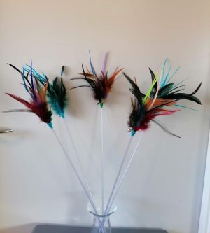 Sværdfjer (50 cm)