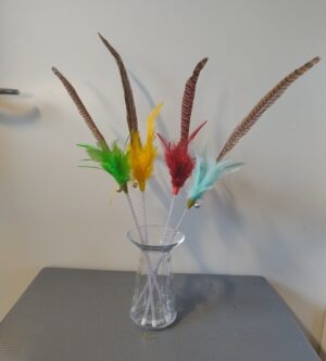 Fasanfjer (25 cm)
