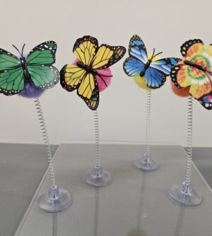 Papillon